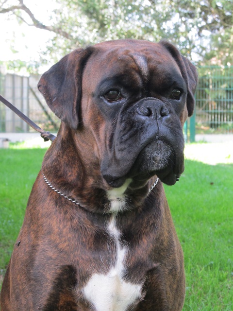 Ilda des Belles Haties